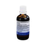 CALCIUM CARBONICUM KOMPLEX flüssig (PZN 2194238) из Германии