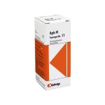 SYNERGON KOMPLEX 11 Apis N Tropfen (PZN 3574635) из Германии