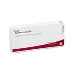 BAMBUSA E NODO D 6 Ampullen (PZN 2832638) из Германии