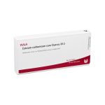 CALCIUM CARBONICUM CUM quercus D 12 Ampullen (PZN 2910410) из Германии