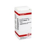 AURUM COLLOIDALE D 6 Tabletten (PZN 2626063) из Германии