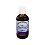 APOCYNUM N Komplex Hanosan flüssig (PZN 3917609) из Германии