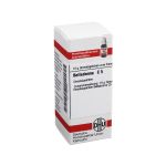 BELLADONNA C 5 Globuli (PZN 4206951) из Германии