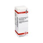 PANAX GINSENG D 4 Dilution (PZN 4246560) из Германии