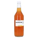 HOLZAPFELESSIG Flasche (PZN 2217979) из Германии