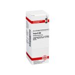 THUJA D 200 Dilution (PZN 4240310) из Германии