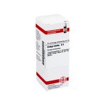 GINKGO BILOBA D 6 Dilution (PZN 4218629) из Германии