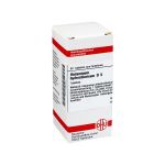 HISTAMINUM hydrochloricum D 6 Tabletten (PZN 4220431) из Германии