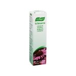 ECHINACEA ZAHNPASTA A.Vogel (PZN 3763307) из Германии