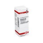 ANTIMONIUM SULFURATUM aurantiacum D 6 Dilution (PZN 4203585) из Германии