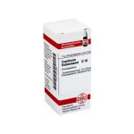 CAUSTICUM HAHNEMANNI D 10 Globuli (PZN 4211254) из Германии