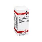 CARDIOSPERMUM D 30 Globuli (PZN 7246738) из Германии