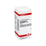 HARPAGOPHYTUM PROCUMBENS D 30 Tabletten (PZN 7169280) из Германии