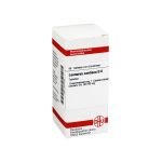 LEONURUS CARDIACA D 6 Tabletten (PZN 7457783) из Германии