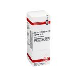 JUGLANS D 6 Dilution (PZN 7170768) из Германии