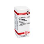 MAGNESIUM CARBONICUM C 12 Globuli (PZN 7173206) из Германии
