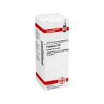 CAMPHORA C 30 Dilution (PZN 7162970) из Германии