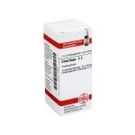 CIMICIFUGA C 5 Globuli (PZN 7164791) из Германии