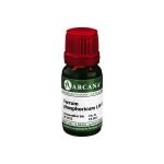 FERRUM PHOSPHORICUM LM 6 Dilution (PZN 7540478) из Германии