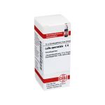 LUFFA OPERCULATA C 6 Globuli (PZN 7248499) из Германии