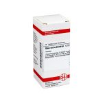RHUS TOXICODENDRON C 12 Tabletten (PZN 7178959) из Германии