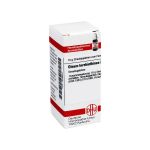 OLEUM TEREBINTHINAE D 10 Globuli (PZN 7248944) из Германии