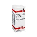 LACHNANTHES tinctoria D 12 Globuli (PZN 7248140) из Германии