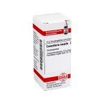 CONVALLARIA MAJALIS D 2 Globuli (PZN 7456223) из Германии