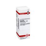 CAUSTICUM HAHNEMANNI C 30 Dilution (PZN 7163768) из Германии