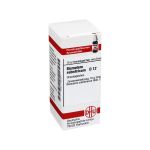BISMUTUM SUBNITRICUM D 12 Globuli (PZN 7161611) из Германии