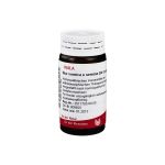 NUX VOMICA E semine D 4 Globuli (PZN 8786796) из Германии