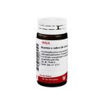 BRYONIA E radice D 4 Globuli (PZN 8784610) из Германии