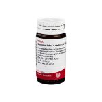 GENTIANA LUTEA E radice D 4 Globuli (PZN 8786000) из Германии