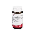 ECHINACEA E planta tota D 6 Globuli (PZN 8785704) из Германии