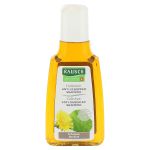 RAUSCH Huflattich Anti-Schuppen Shampoo (PZN 11071351) из Германии