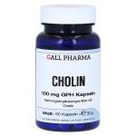 CHOLIN 100 mg GPH Kapseln (PZN 3378360) из Германии