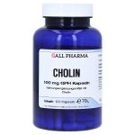 CHOLIN 100 mg GPH Kapseln (PZN 3378354) из Германии