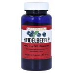 HEIDELBEER P 400 mg Kapseln (PZN 2454863) из Германии