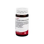 EUPHRASIA E planta tota D 4 Globuli (PZN 8785845) из Германии