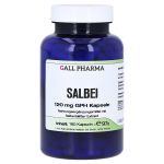 SALBEI 120 mg GPH Kapseln (PZN 7351056) из Германии