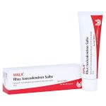 RHUS TOXICODENDRON SALBE (PZN 1451383) из Германии