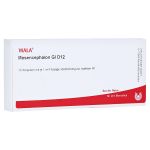 MESENCEPHALON GL D 12 Ampullen (PZN 3355494) из Германии