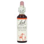 Bachblüten Rock Rose Tropfen (PZN 146784) из Германии