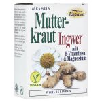 MUTTERKRAUT-INGWER Kapseln (PZN 14300728) из Германии
