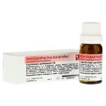 EUPATORIUM PERFOLIATUM D 6 Globuli (PZN 908395) из Германии