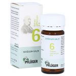 BIOCHEMIE Pflüger 6 Kalium sulfuricum D 6 Tabl. (PZN 6319286) из Германии