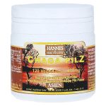 CHAGA PILZ Inonotus obliquus Vegi-Kaps (PZN 9926070) из Германии