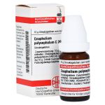 GNAPHALIUM POLYCEPHALUM C 200 Globuli (PZN 7595686) из Германии