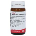 AGROPYRON Globuli velati (PZN 1447861) из Германии