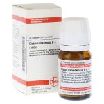CISTUS CANADENSIS D 4 Tabletten (PZN 2628524) из Германии